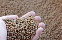 Norme ASC pour l'alimentation animale