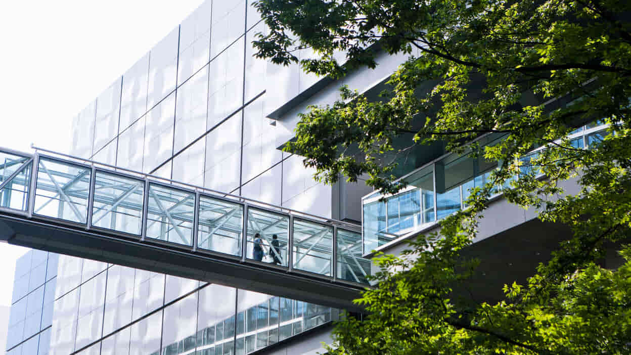 ISO 14001 - Management de l'environnement 