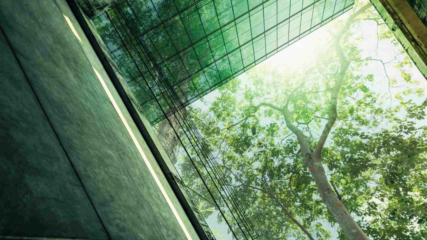Certification ISO 50001 : Système de management de l'énergie