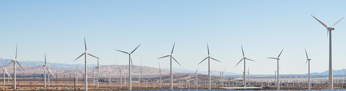 Wind farm development