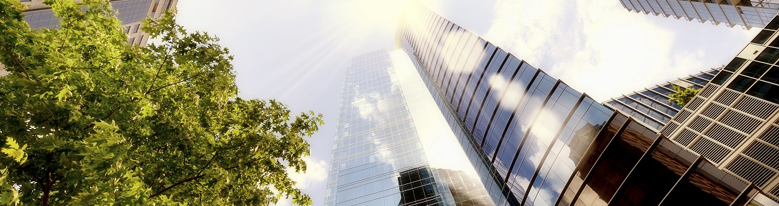 Evaluation Alpha 26000 - Nous avons développé une méthode en 4 étapes pour vous aider à identifier, évaluer et répondre à vos enjeux de RSE.