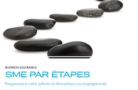 SME par étapes