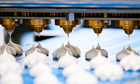 FSSC 22000 – Système de certification du système de sécurité des aliments