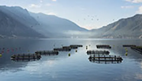 GLOBALG.A.P IFA – Aquaculture