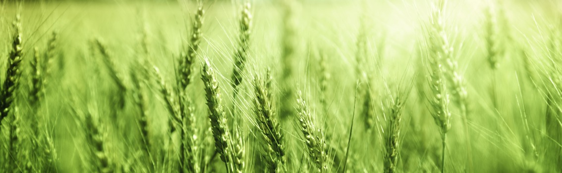 Key changes in ISO 22000:2018 