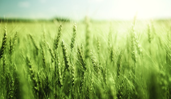 Changements clés de l'ISO 22000:2018 par rapport à l'ISO 22000:2005 