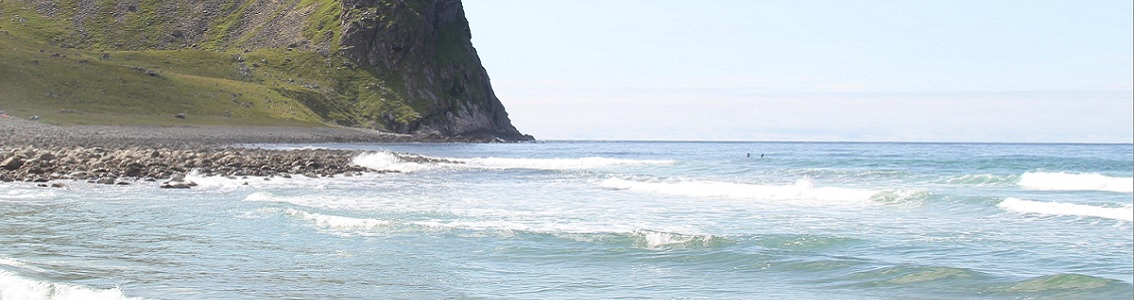 Construisez pas à pas votre système de management environnemental.