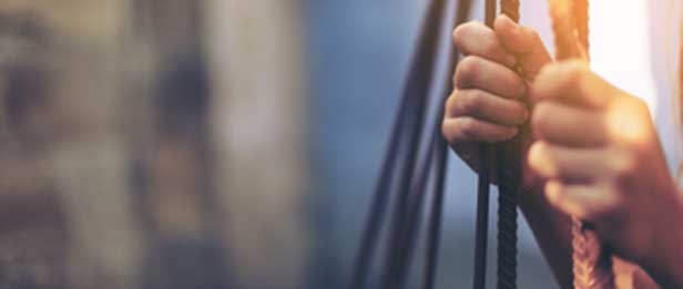 Droits sociaux et humains