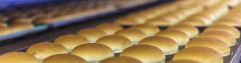 SQF Safety Quality Food Program