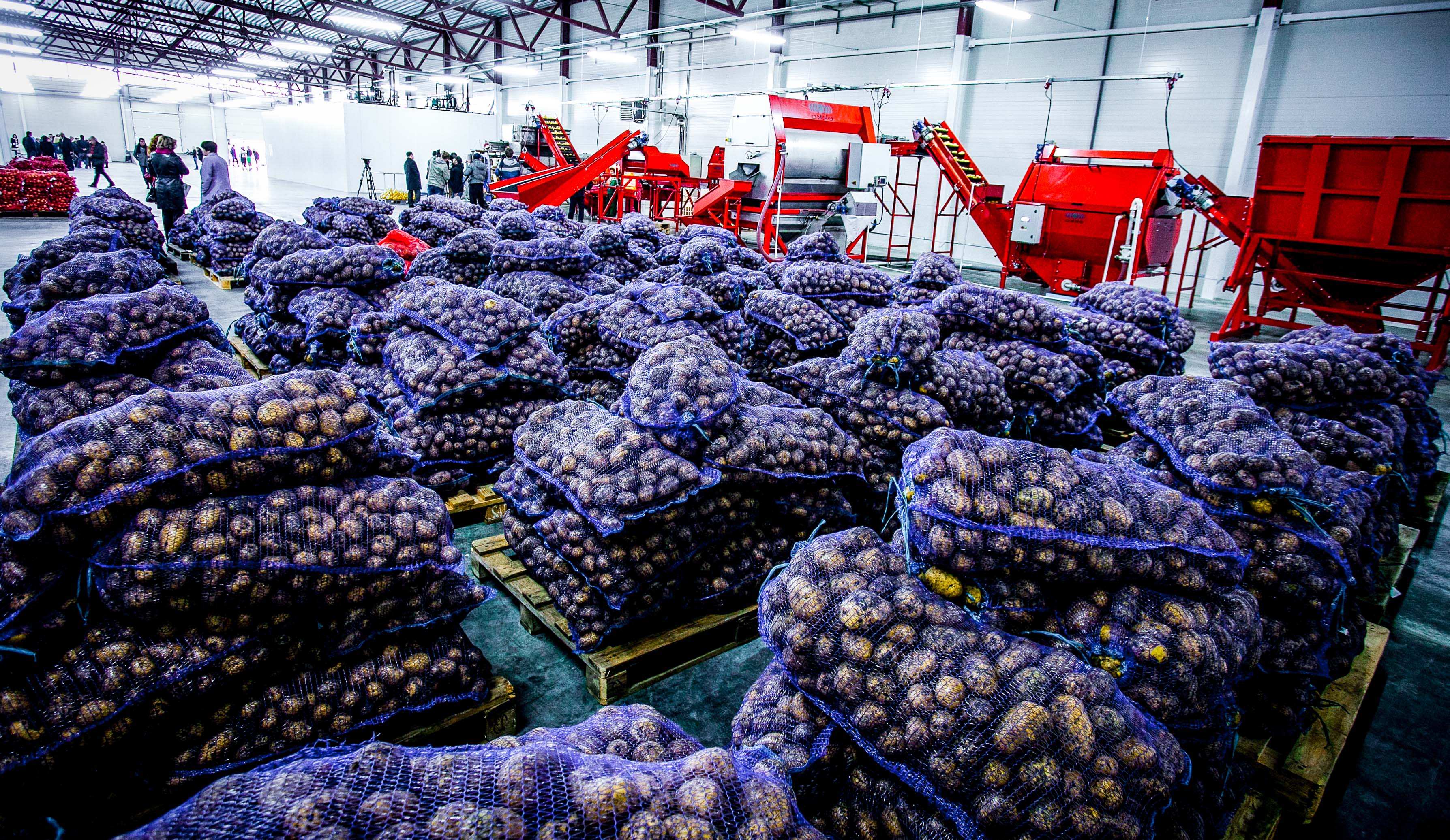 Qualification des fournisseurs en temps de crise