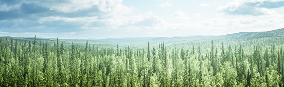 Formations - Corporate Responsibility & Supply Chain