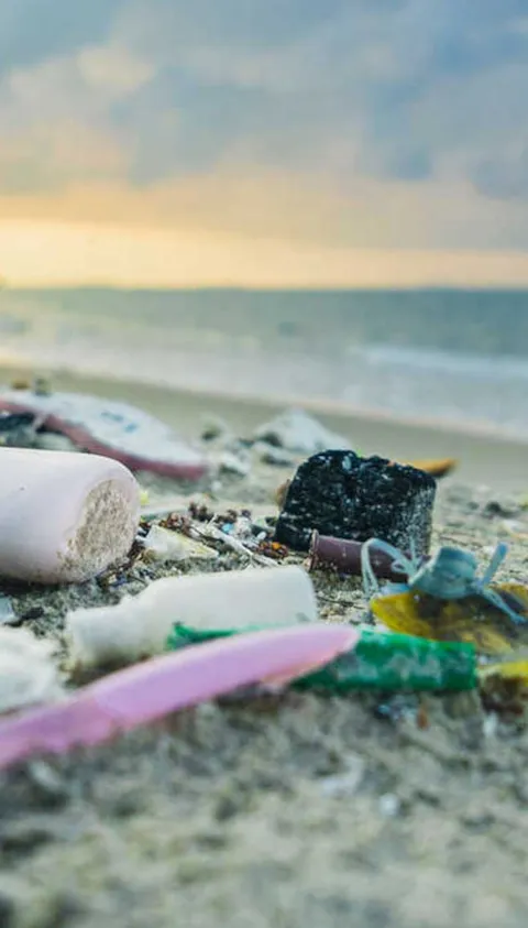 garbage on the beach